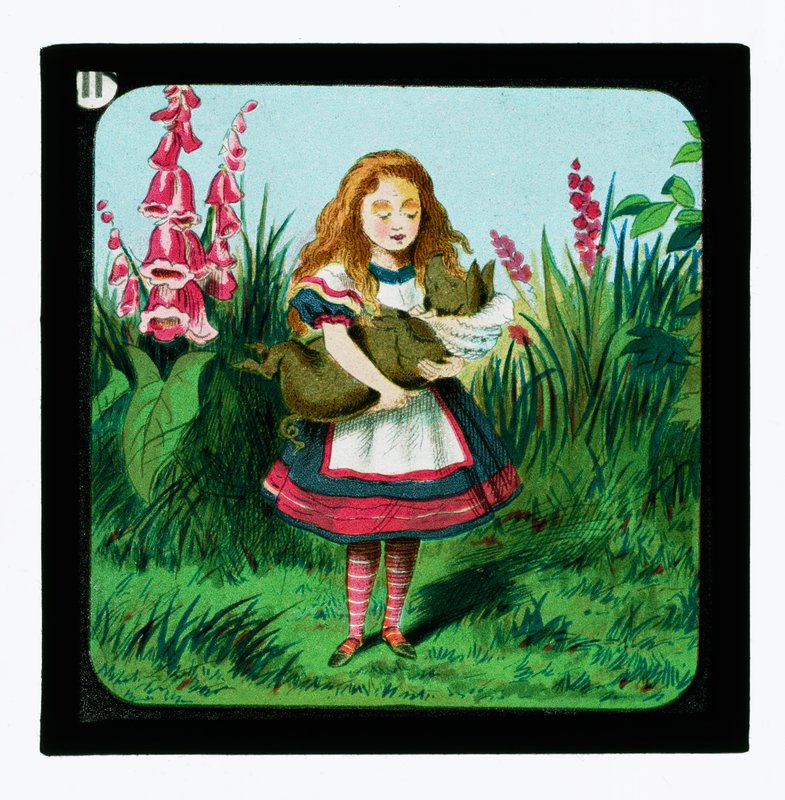 Alice Harikalar Diyarında, Renkli Fener Slaytları by John Tenniel