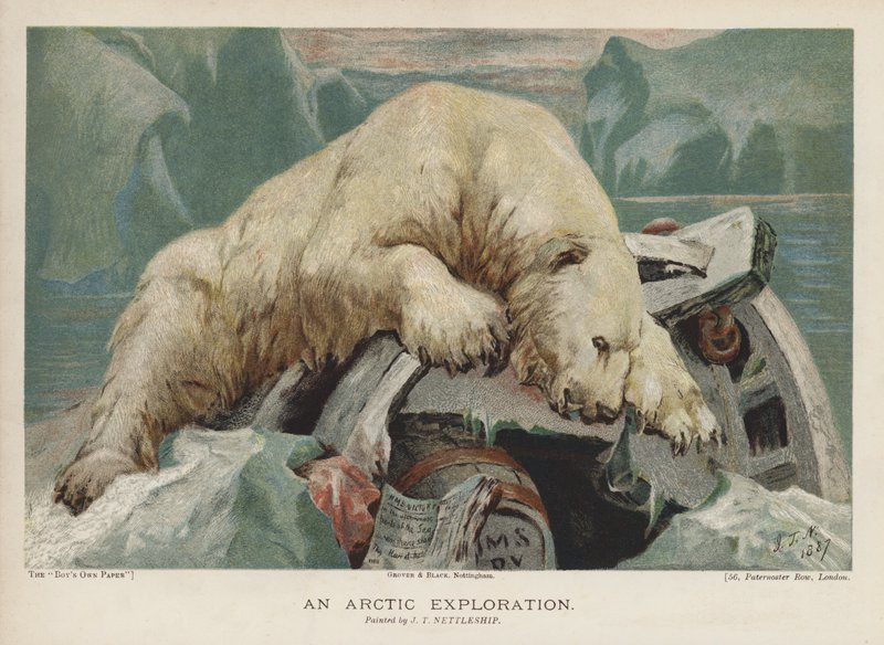 Bir Arktik Keşfi: bir Arktik keşif gezisinden eşyaları araştıran bir kutup ayısı (chromolitho) by John Trivett Nettleship