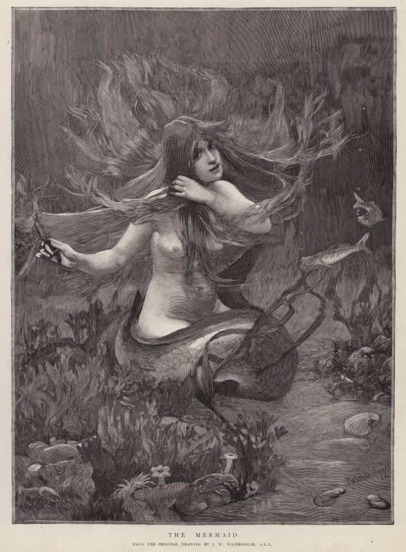 Deniz Kızı (lito) by John William (after) Waterhouse