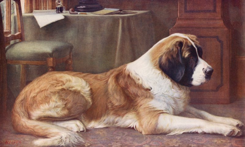  by John William Allison