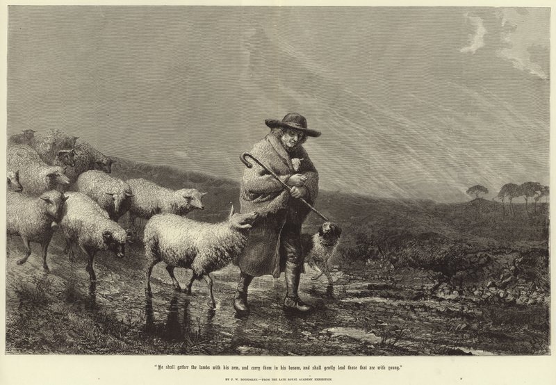Kuzuları koluyla toplayacak by John William Bottomley