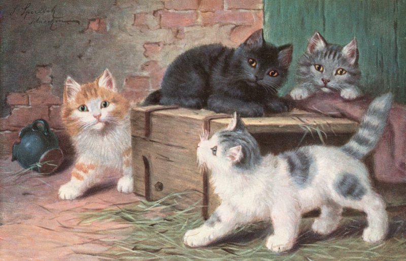  by Josef Sperlich