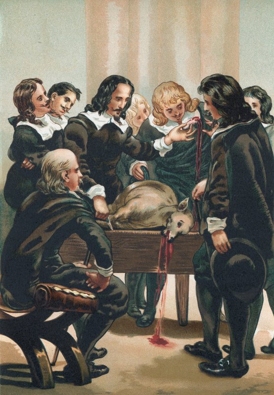 William Harvey kan dolaşımını gösteriyor by Josep or Jose Planella Coromina