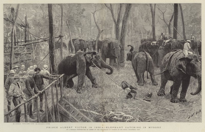 Prens Albert Victor Hindistan