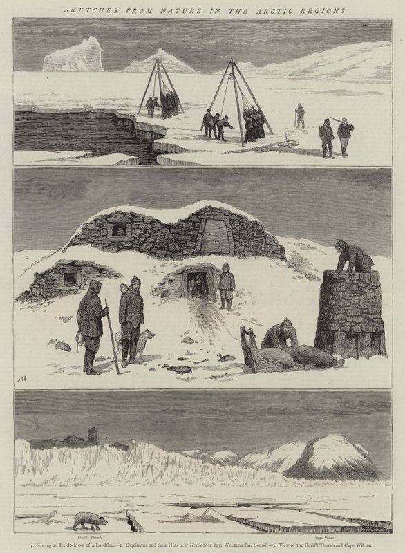 Arktik Bölgelerdeki Doğadan Eskizler by Joseph Nash