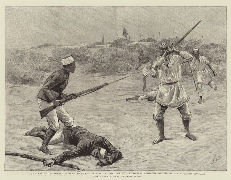 Tokar Muharebesi, Doğu Sudan, Yaralı Yoldaşını savunan On İkinci Sudan Alayı