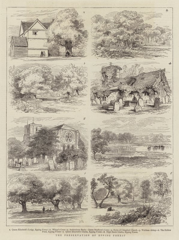 Epping Ormanının Korunması by Joseph Nash