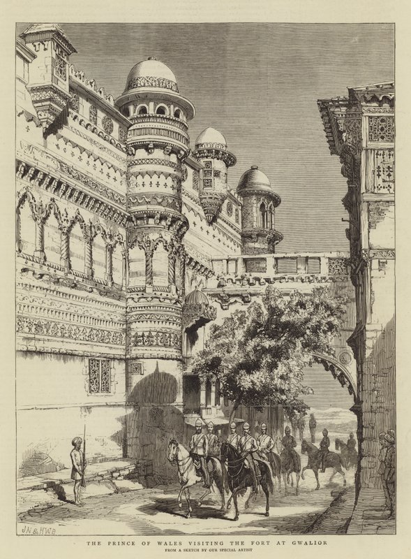 sardunyalar by Joseph Nash