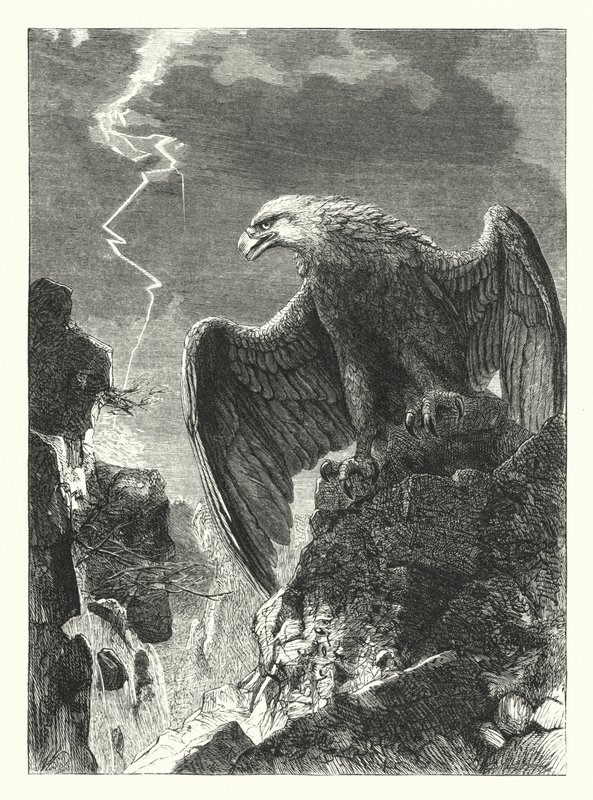 Bilgelik Uygulanmamış by Joseph after Wolf