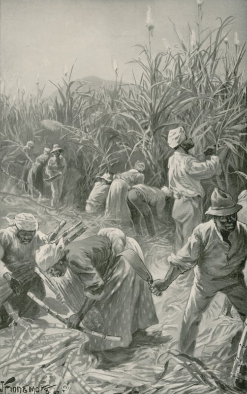 Siyahlar Jamaika'daki Şeker Kamışı Çiftliğinde İş Başında (taş) by Joseph (after) Finnemore