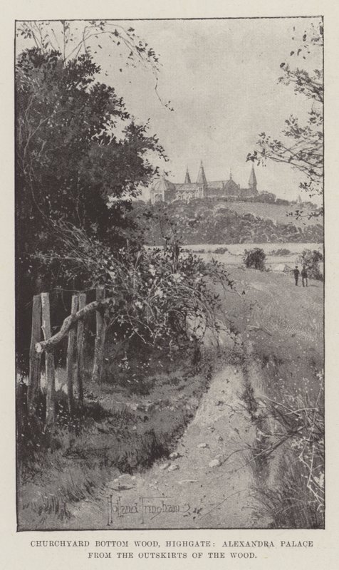 Churchyard Bottom Wood, Highgate, Ormanın Eteklerinden Alexandra Palace by Joseph Holland Tringham