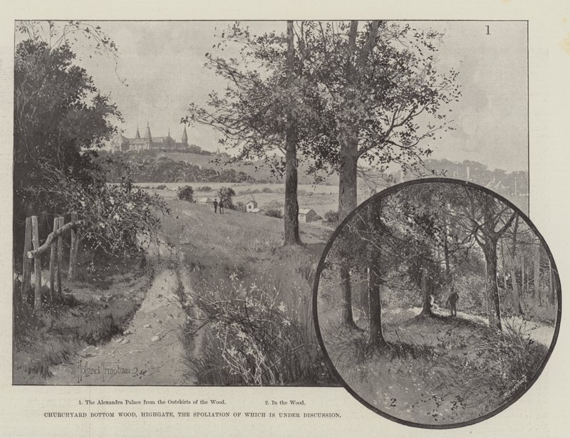 Yıkımı Tartışılan Churchyard Bottom Wood, Highgate by Joseph Holland Tringham