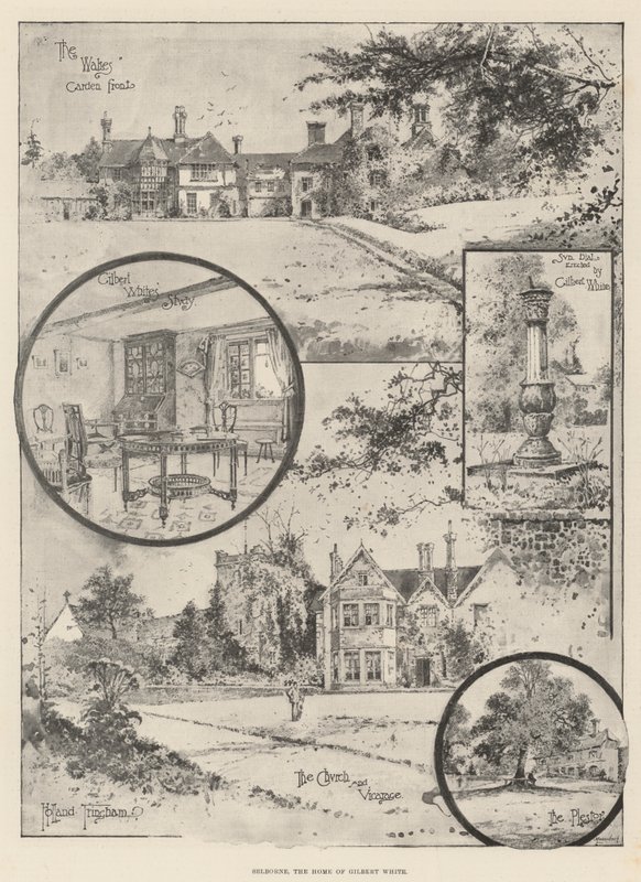 Selborne, Gilbert White