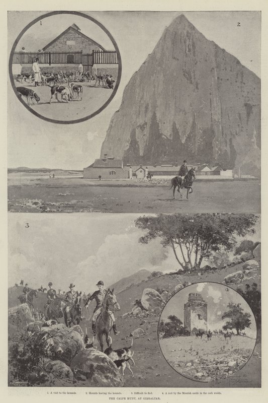 Calpe Hunt, Cebelitarık