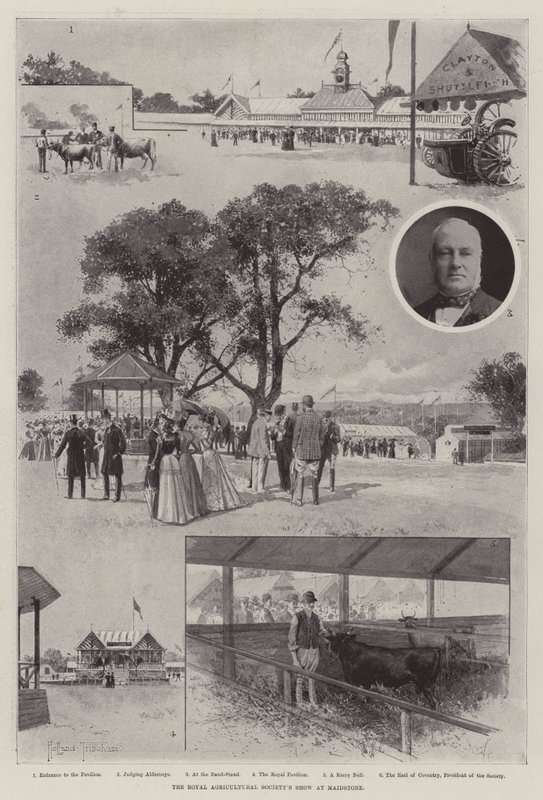 Kraliyet Tarım Derneği'nin Maidstone'daki Gösterisi by Joseph Holland Tringham