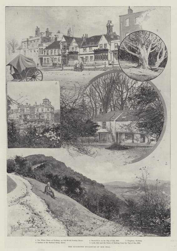 Box Hill