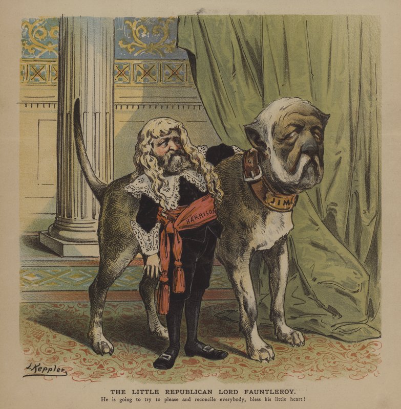 Küçük Cumhuriyetçi Lord Fauntleroy (renkli taş) by Joseph Keppler