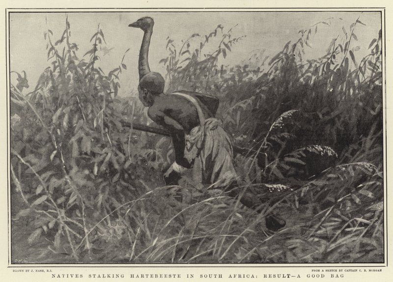 Güney Afrika