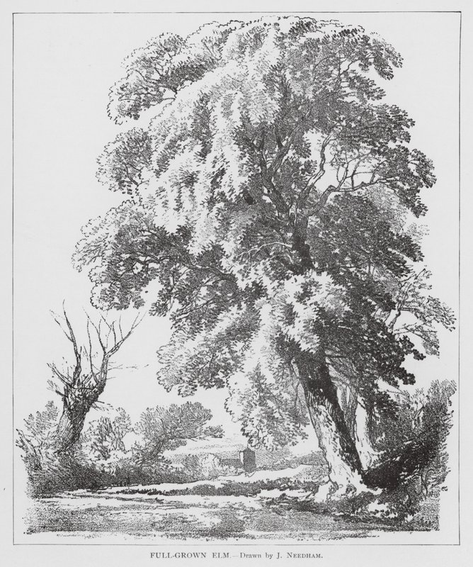  by Joseph Needham