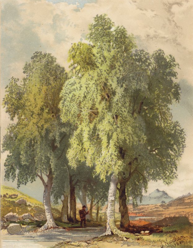  by Joseph Needham