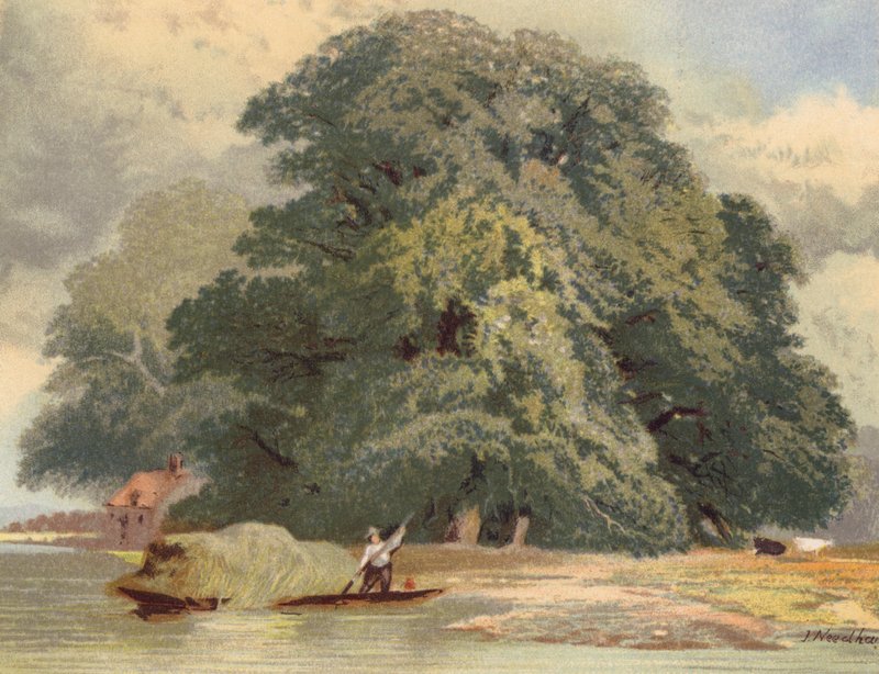  by Joseph Needham