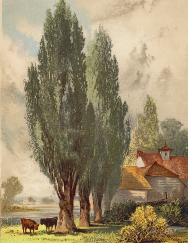  by Joseph Needham