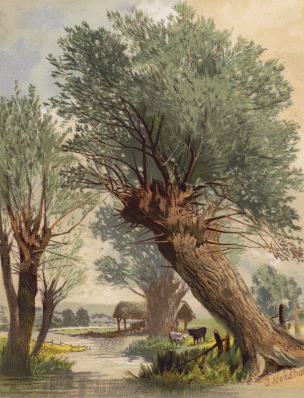  by Joseph Needham