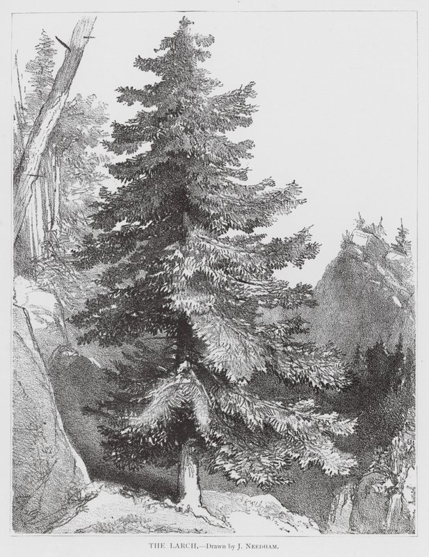  by Joseph Needham