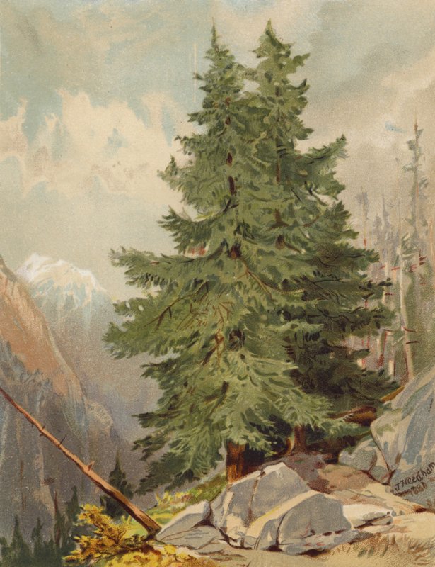  by Joseph Needham