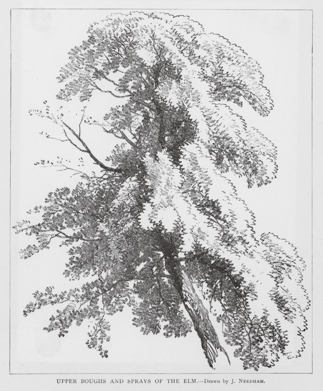  by Joseph Needham