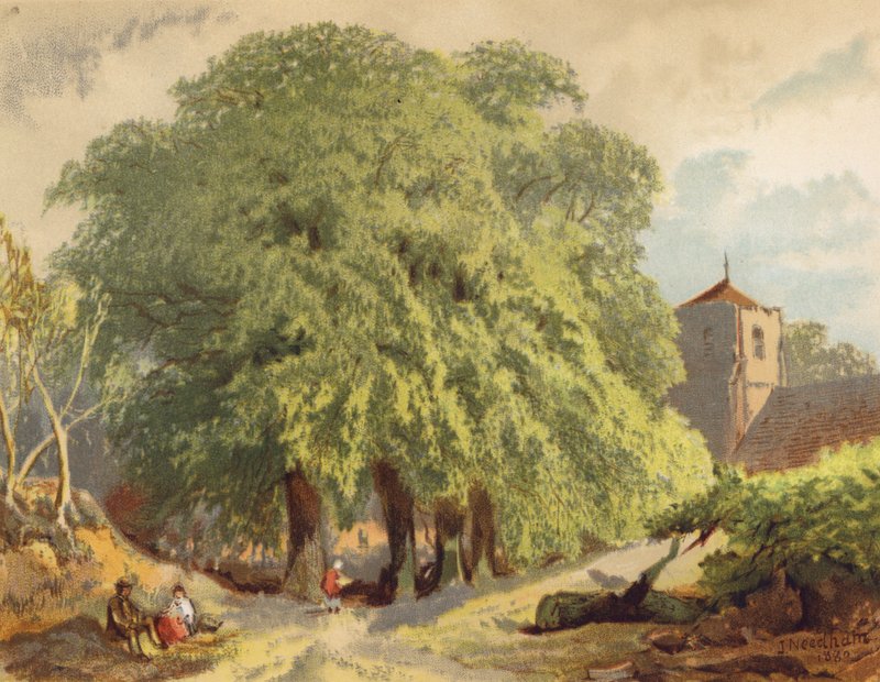 Köy Sahnesi, Ihlamurlar (renkli taş baskı) by Joseph Needham