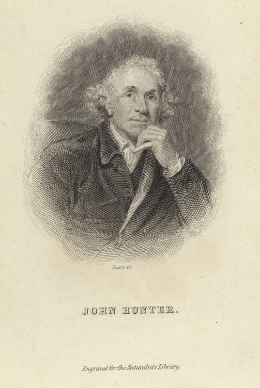 John Avcı by Joshua Reynolds