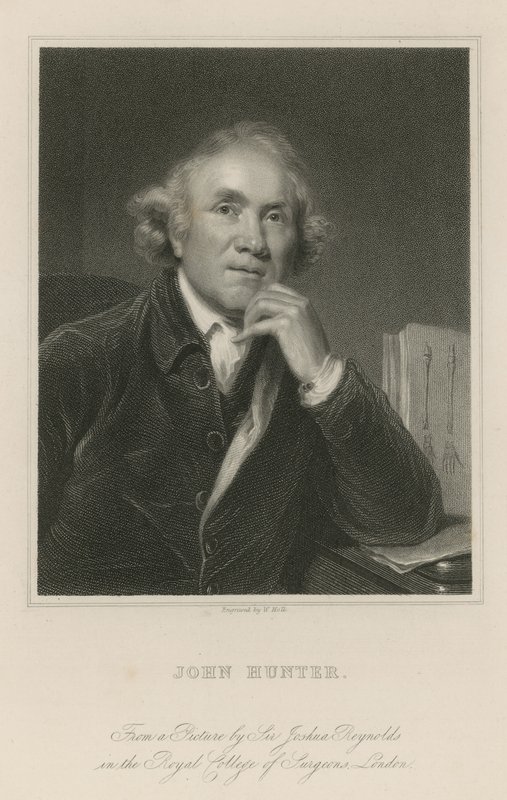 John Avcı by Joshua Reynolds