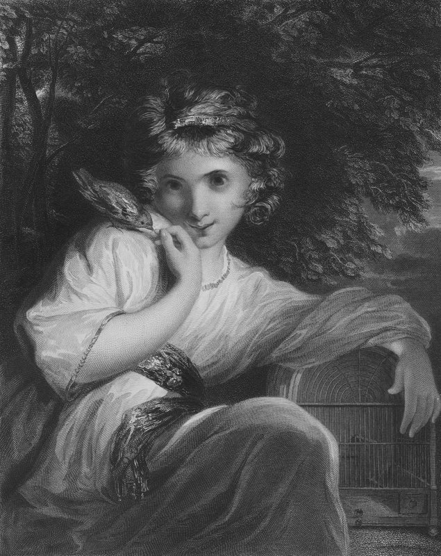 Musluk by Joshua Reynolds