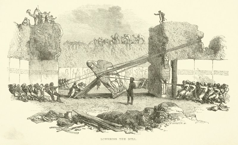 Boğayı indirmek by Josiah Wood Whymper