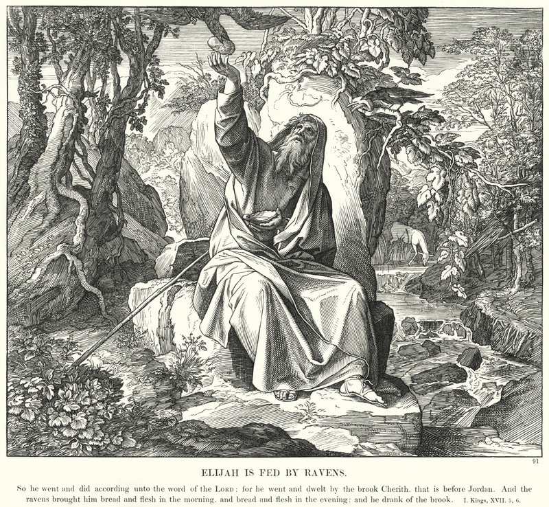 İlyas Kuzgunlardan Besleniyor (gravür) by Julius (after) Schnorr von Carolsfeld