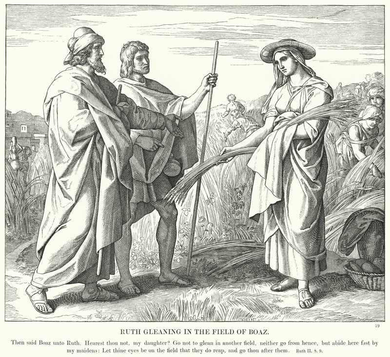 Ruth Gleaning Boaz Tarlasında (gravür) by Julius (after) Schnorr von Carolsfeld