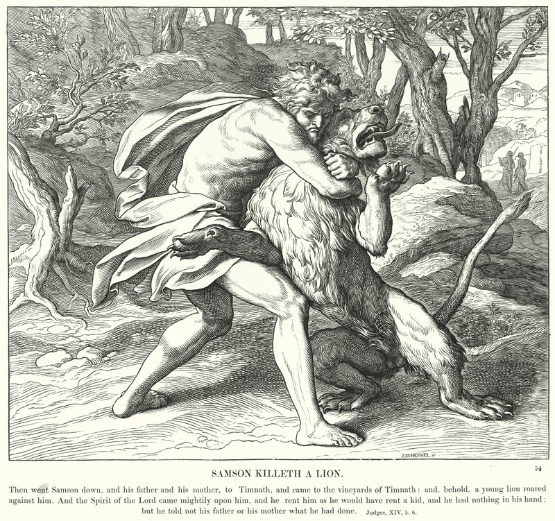Samson Killeth bir Aslan (gravür) by Julius (after) Schnorr von Carolsfeld
