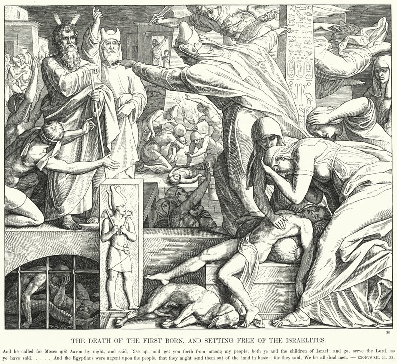 İlk Doğanın Ölümü ve İsrailoğullarından Kurtulma (gravür) by Julius (after) Schnorr von Carolsfeld