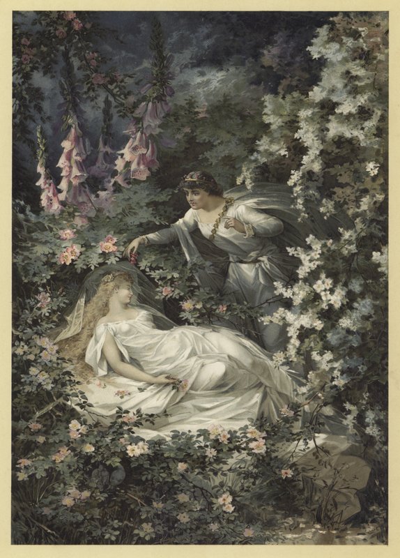 Bir Yaz Gecesi Rüyası (chromolitho) için İllüstrasyon by Julius Hoeppner