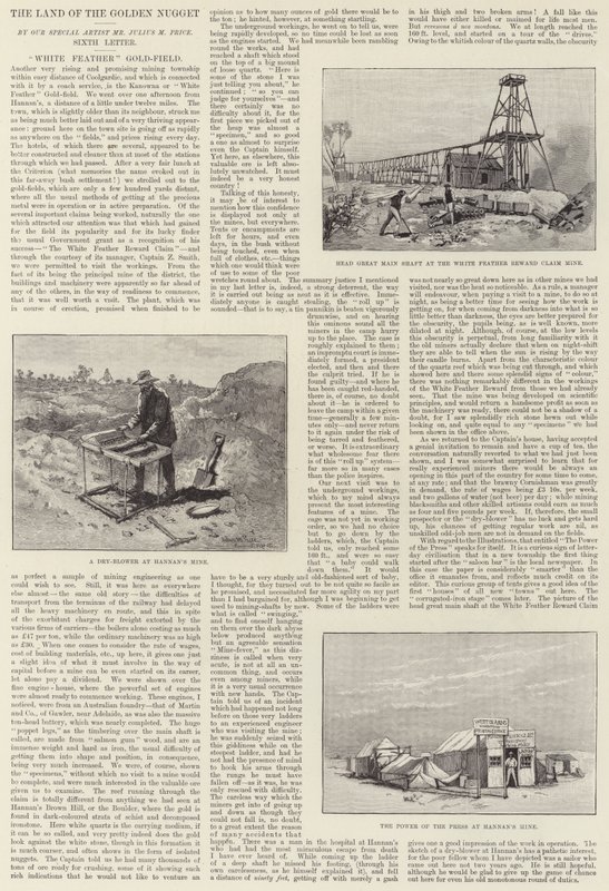 Altın Külçe Ülkesi, Beyaz Tüy Altın Tarlası by Julius Mandes Price