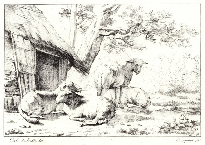Koyun by Karel Dujardin