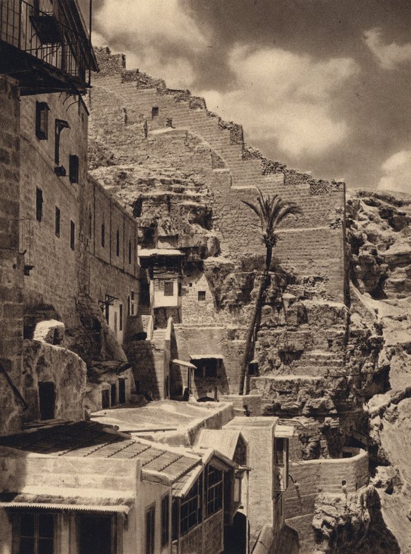 Mar Saba, Palm of St Sabas (s/b fotoğraf) by Karl Grober