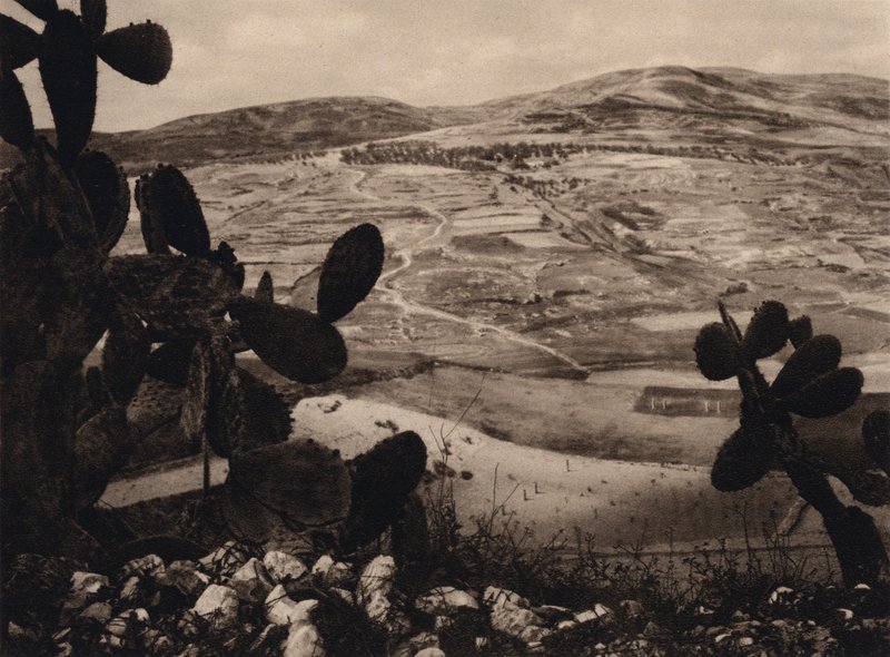 Samiriye, Herod
