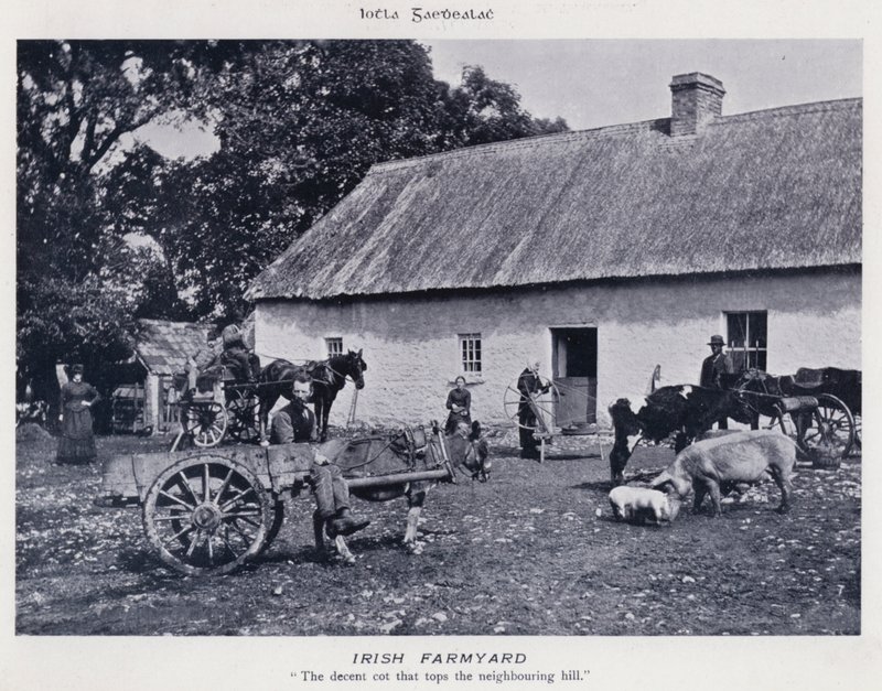 İrlanda Çiftliği (s/b fotoğraf) by Karl Karlovich Piratsky