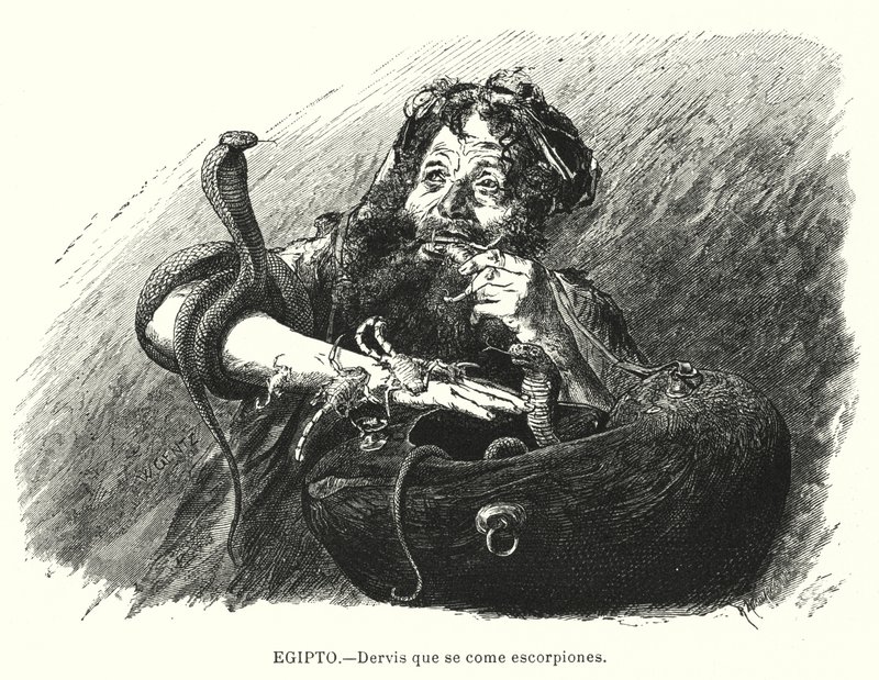 Akrep yiyen derviş, Mısır by Karl Wilhelm Gentz