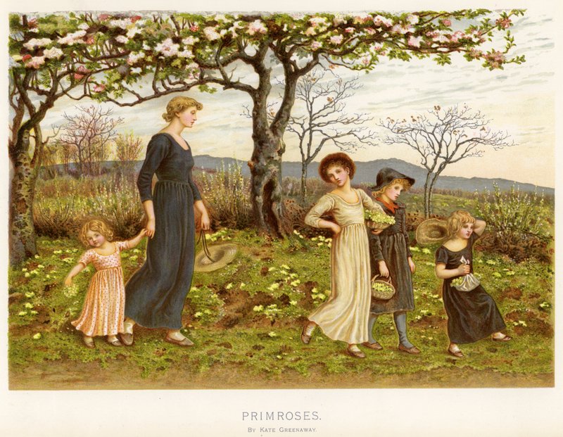 Primrose (kromolitho) by Kate Greenaway