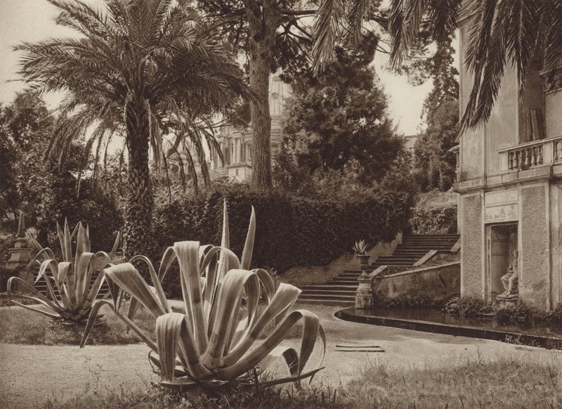 Roma: Vatikan Bahçesinde (s/b fotoğraf) by Kurt Hielscher