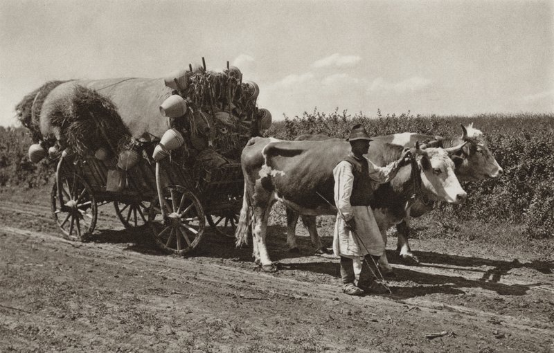 Romanya: Çömlek tüccarı (s/b fotoğraf) by Kurt Hielscher