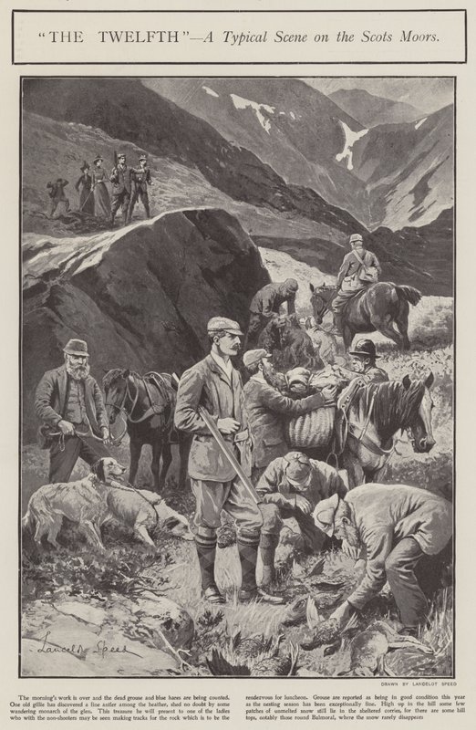 "On İkinci" - İskoç Moors